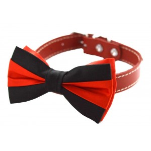 Papion catei negru c0004